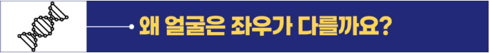 c25ca-6805de3f4a427-1d64e6ce20f8ffd0464ecc5d53bf4af7229864a1.png