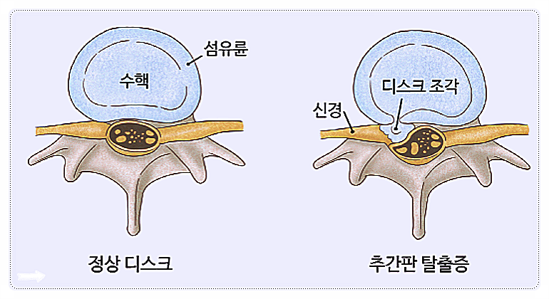 c25ca-6a39ded5e8488-54e7a5f0db440d3612b7b8a94811a0c26fb0e71e.png