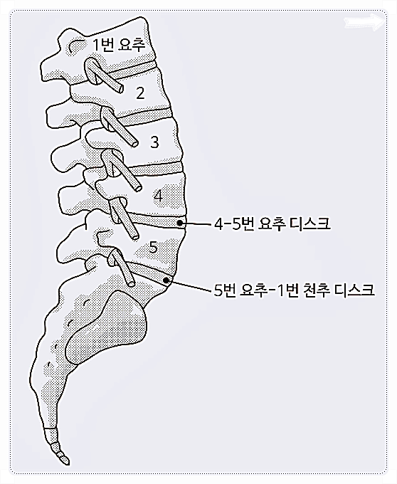 c25ca-6a39dedaccab7-4be5b073847c1b895c9b734beaf3c342ed414699.png
