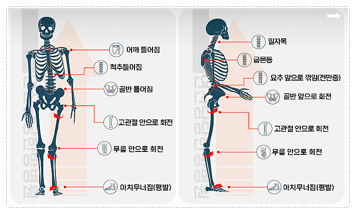 c25ca-6a90d5da1dbab-a85ebd7721a0a885e59a5488ced98402e99ed9f2.png