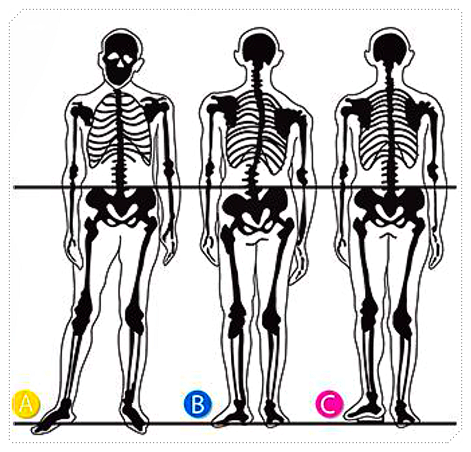 c25ca-6a90df62ef108-18492a76421ba8a4ad4b6488e13509c965bf242d.png