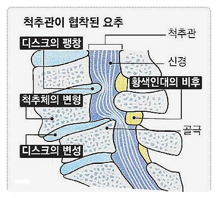 c25ca-6a90e4dc12cf3-19704db7c3d03caae909d7244983c03b24ab81af.jpg
